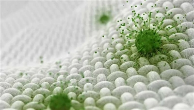 Chii chinonzi Micheka NeAntibacterial Properties?